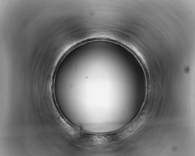 X0000099520799200805221442