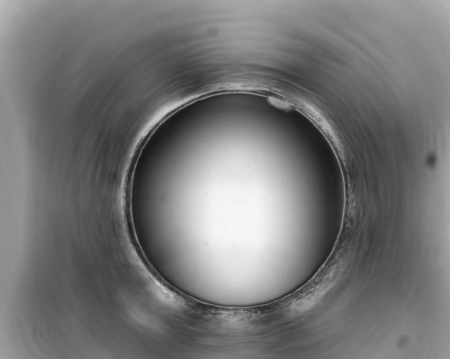 X0000099520803200805221442