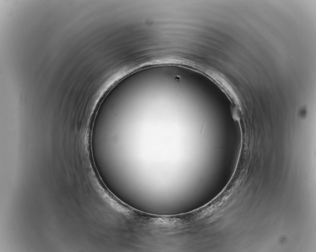 X0000099520805200805221442
