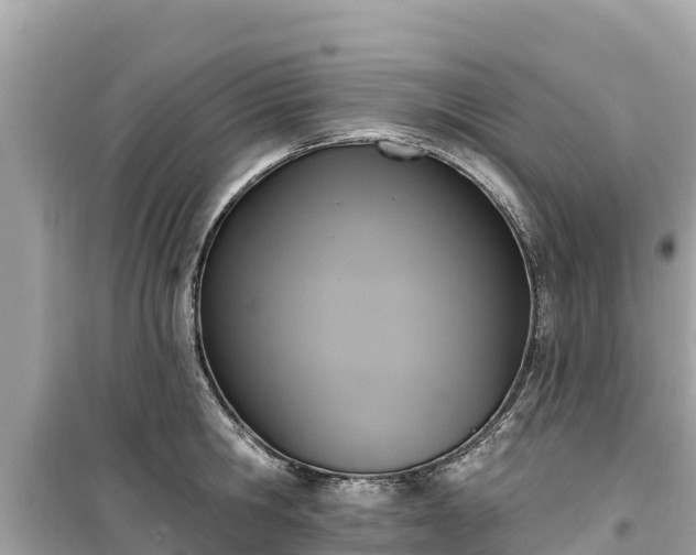 X0000099520806200805221442