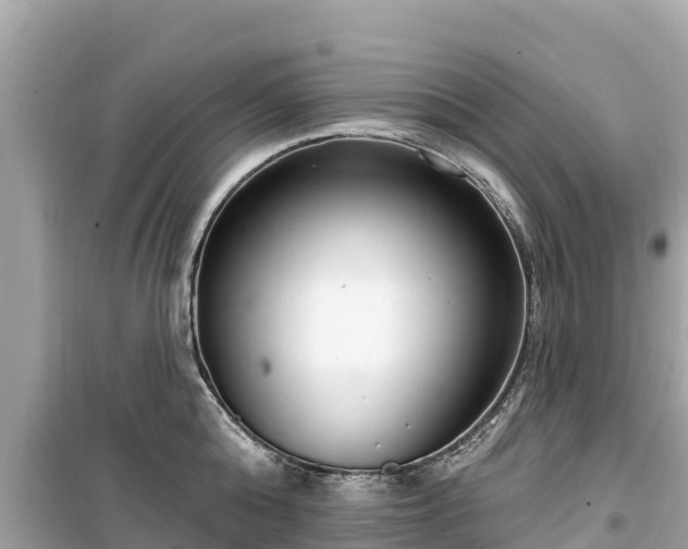 X0000099520808200805221442