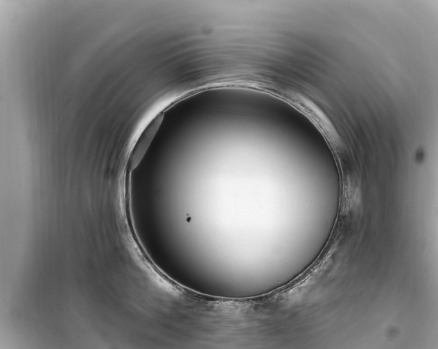 X0000099520812200805221442