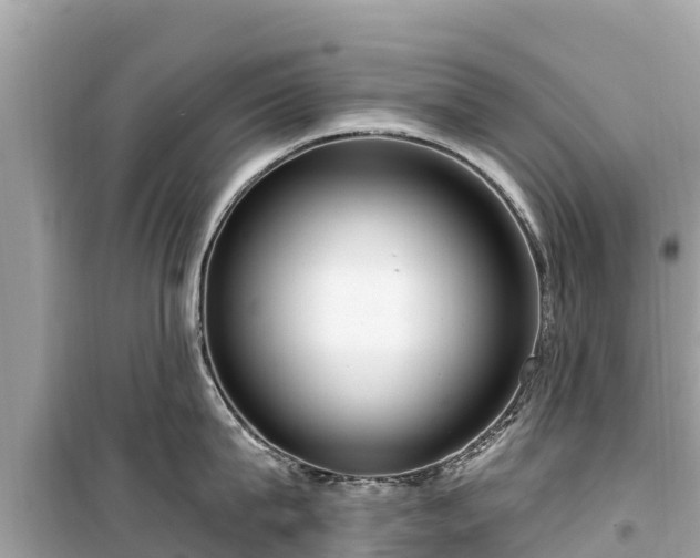 X0000099520815200805221442