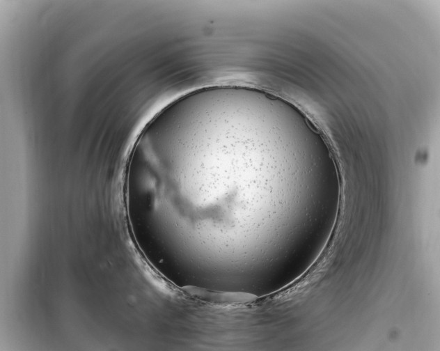 X0000099520816200805221442
