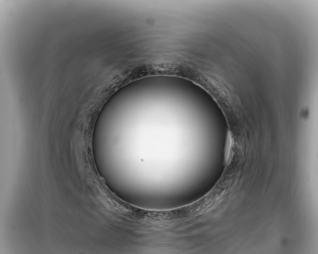 X0000099520817200805221442