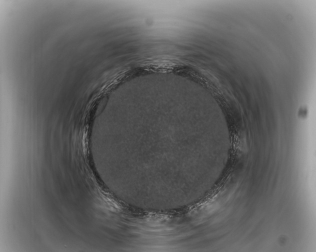 X0000099520818200805221442