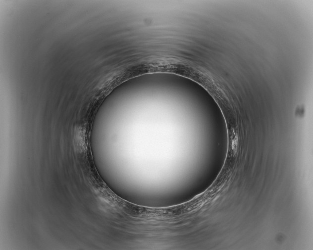 X0000099520819200805221442