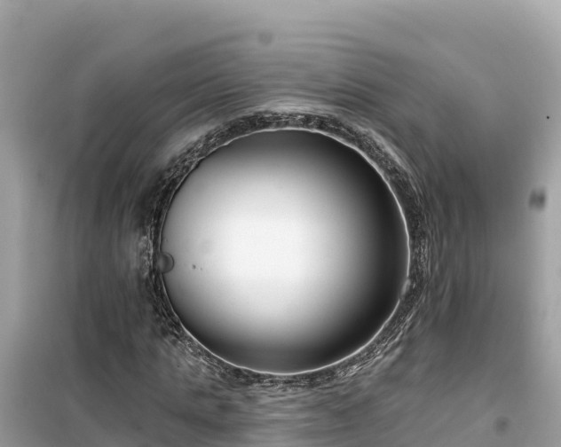 X0000099520821200805221442