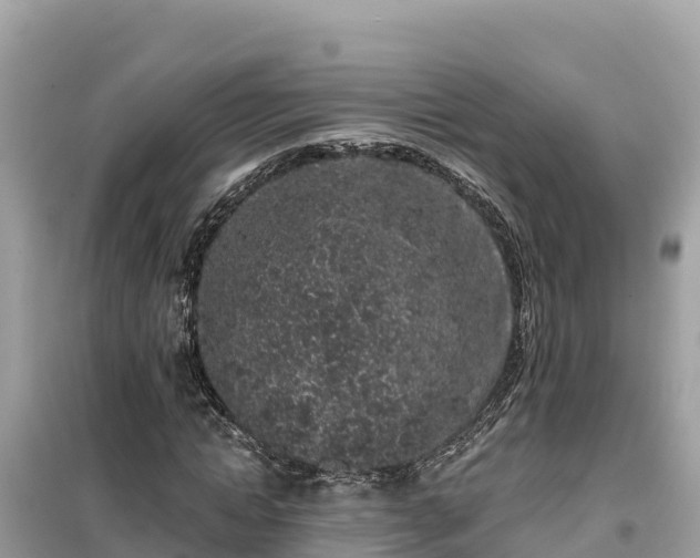 X0000099520822200805221442