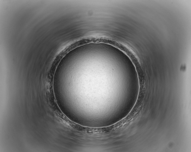 X0000099520823200805221442