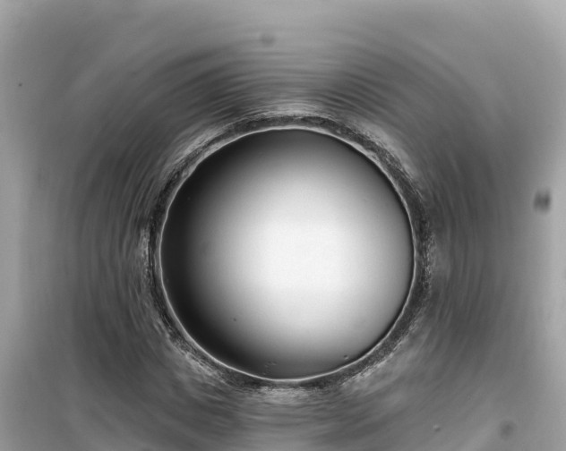 X0000099520825200805221442
