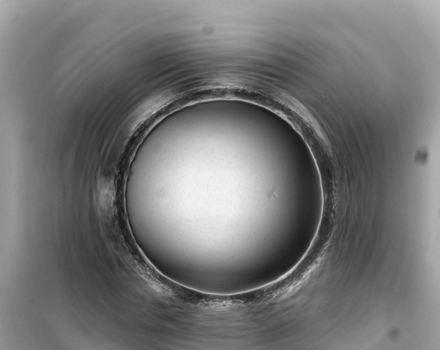 X0000099520826200805221442