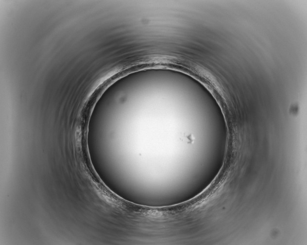 X0000099520827200805221442