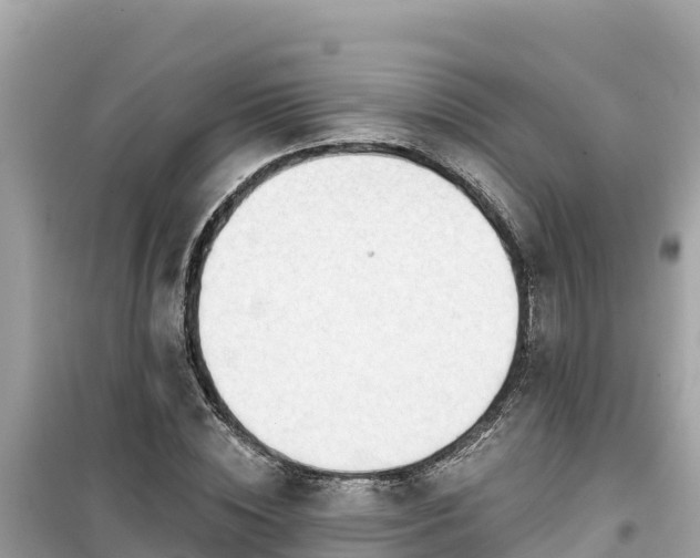 X0000099520828200805221442