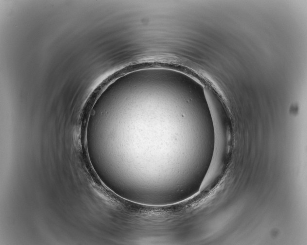 X0000099520830200805221442