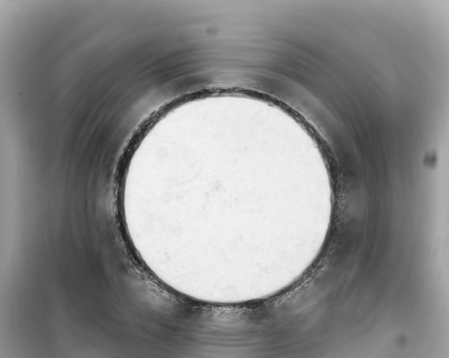 X0000099520832200805221442
