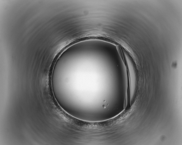 X0000099520834200805221442
