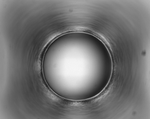 X0000099520835200805221442