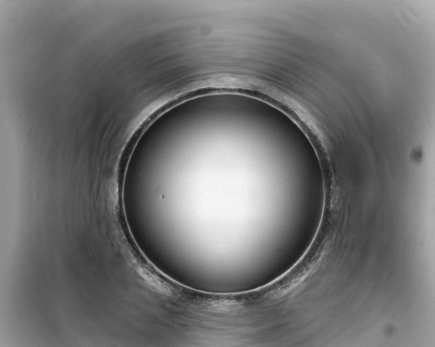 X0000099520837200805221442