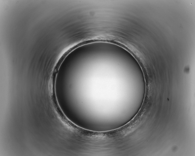 X0000099520838200805221442