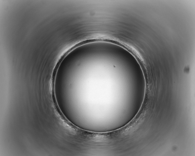 X0000099520839200805221442