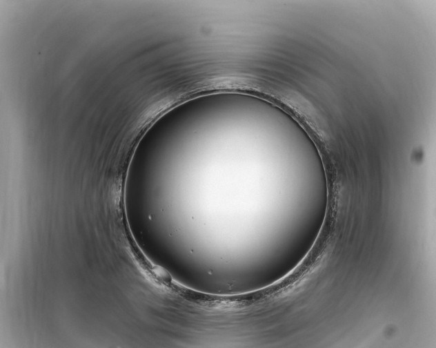 X0000099520841200805221442
