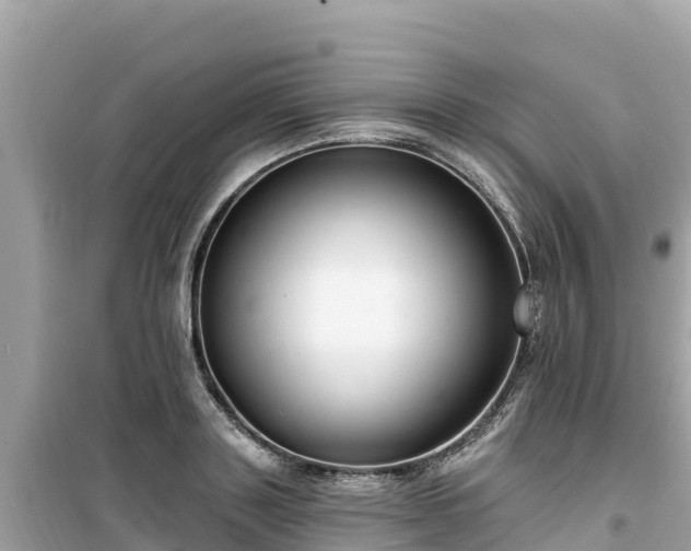 X0000099520843200805221442