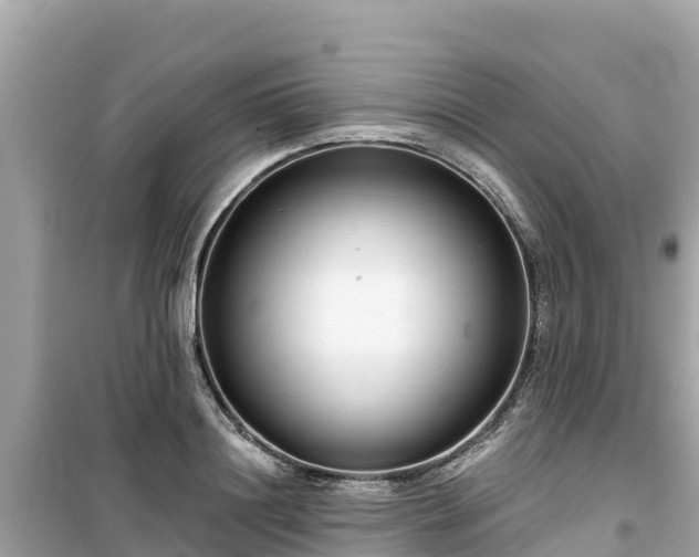 X0000099520844200805221442