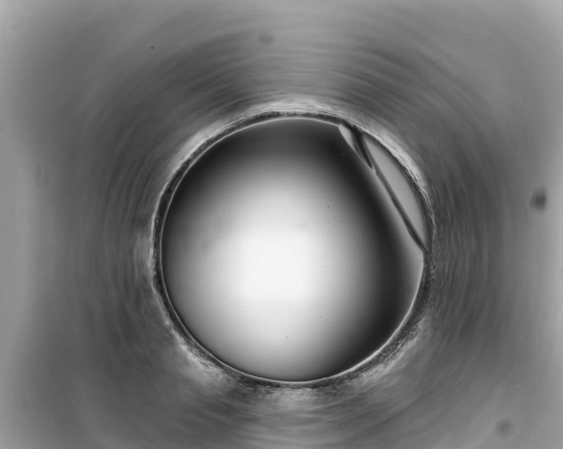 X0000099520845200805221442