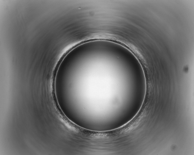 X0000099520846200805221442
