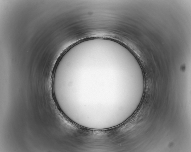 X0000099520848200805221442