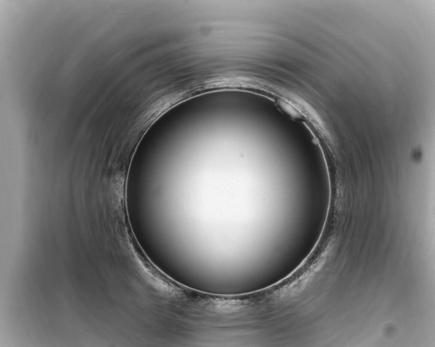 X0000099520849200805221442
