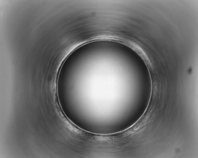 X0000099520852200805221442