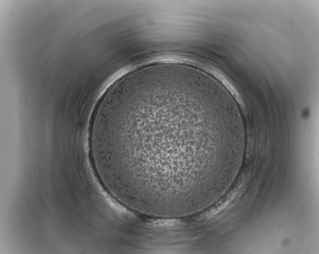 X0000099520853200805221442