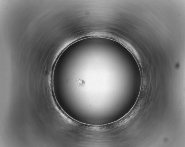 X0000099520855200805221442