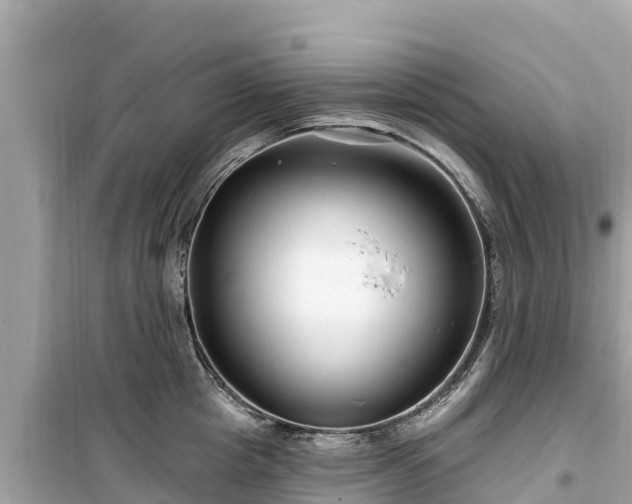 X0000099520857200805221442