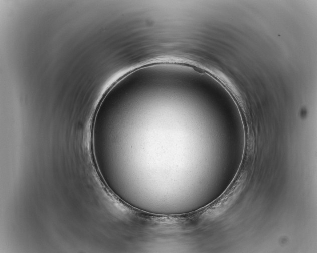 X0000099520862200805221442