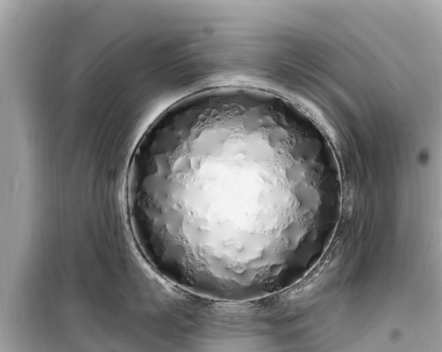 X0000099520863200805221442