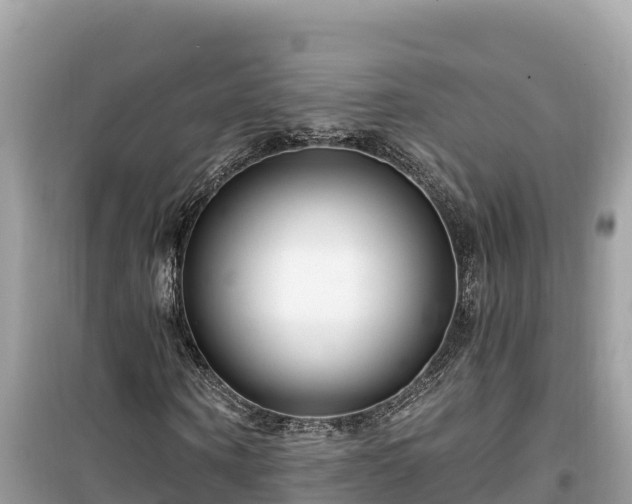 X0000099520866200805221442