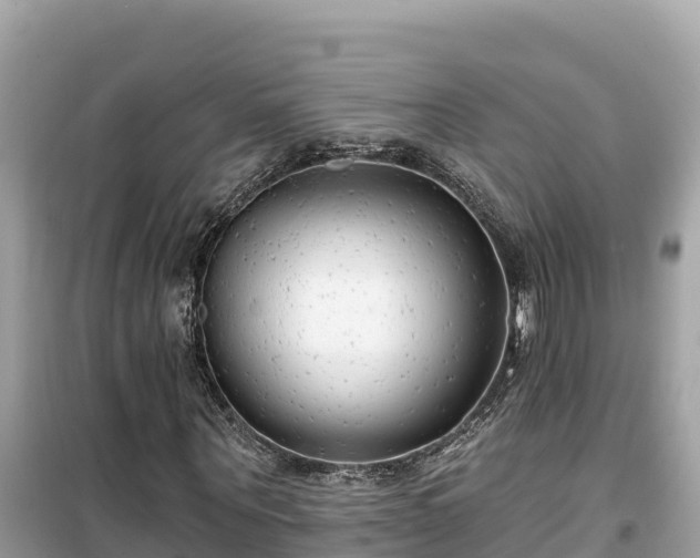 X0000099520867200805221442