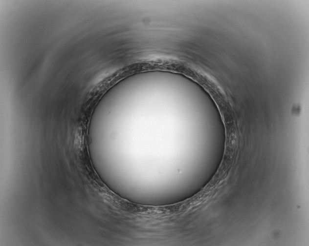 X0000099520869200805221442