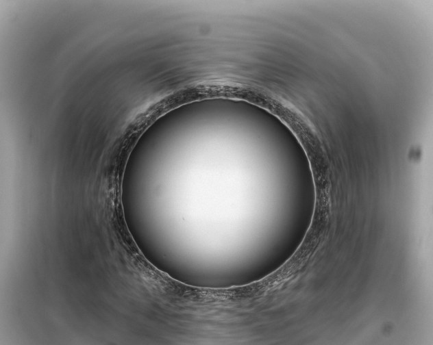 X0000099520870200805221442