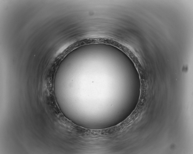 X0000099520871200805221442