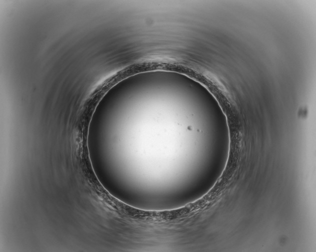X0000099520872200805221442