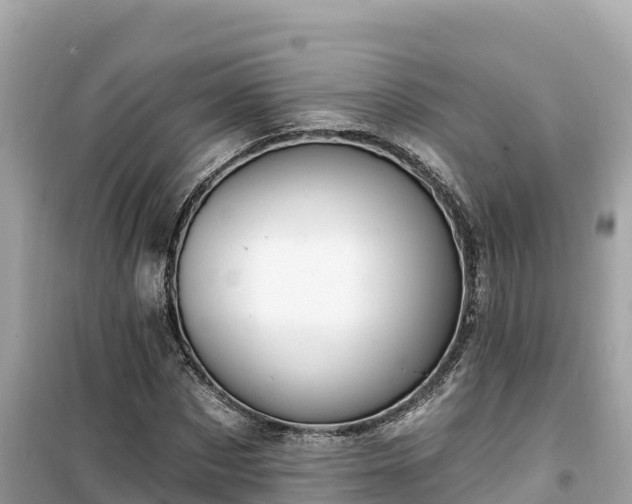 X0000099520873200805221442