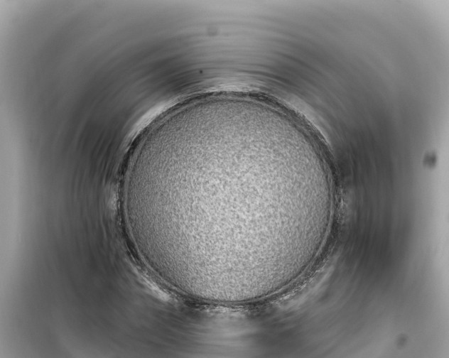 X0000099520874200805221441