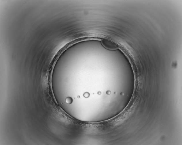 X0000099520875200805221441