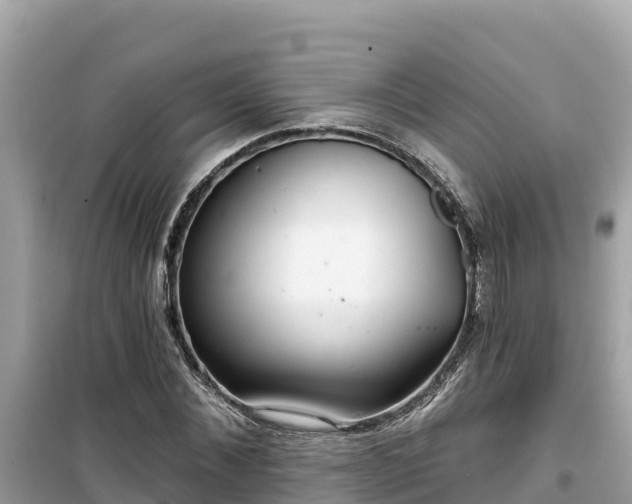 X0000099520876200805221441