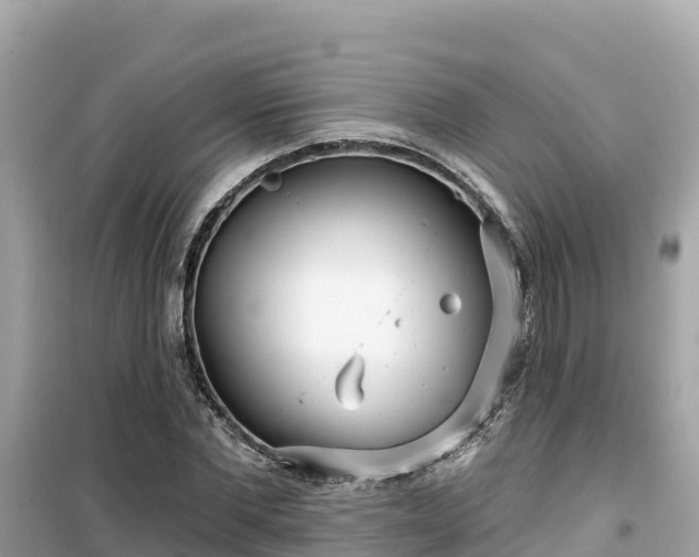 X0000099520877200805221441