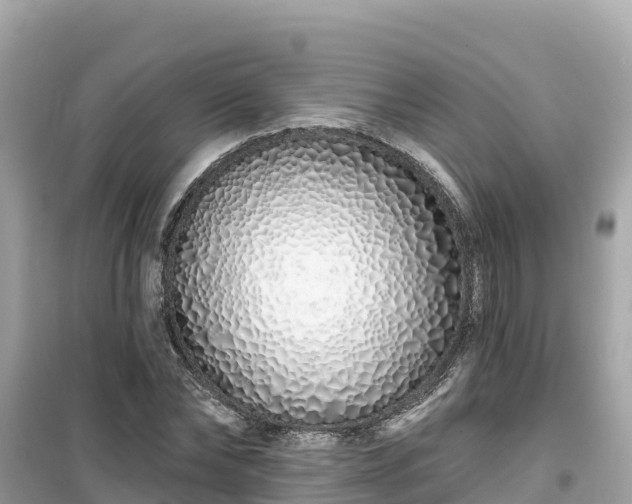 X0000099520878200805221441